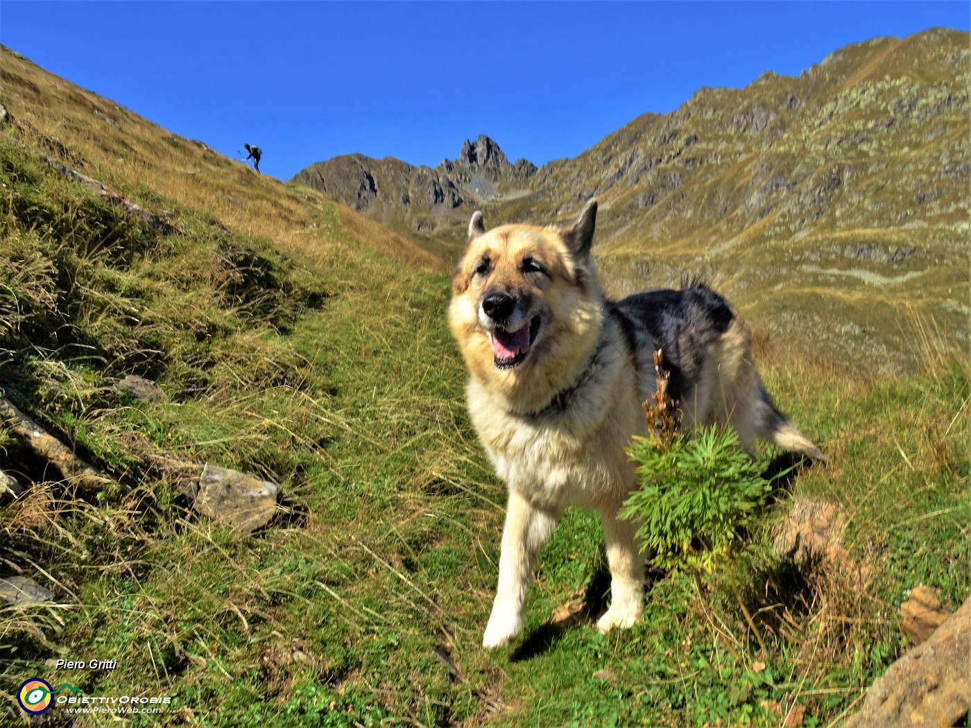 31 Ed ora in lieve discesa ...sguardo indietro verso il Monte Valletto.JPG